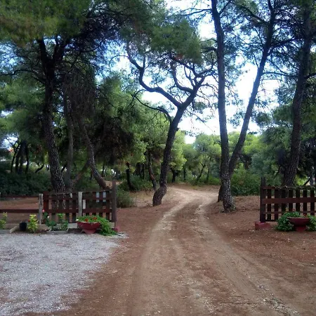 Pefkonas Apartments2 100 M From The Apartman