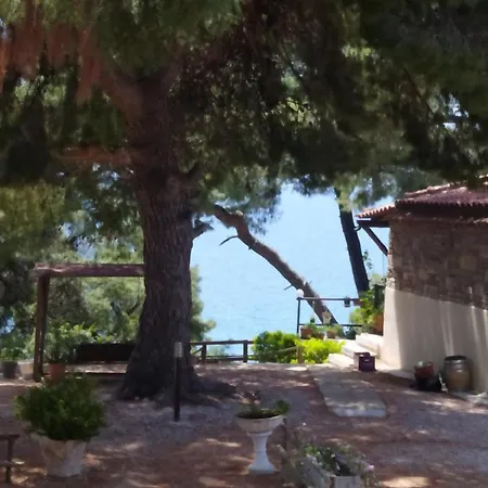 Apartman Pefkonas Apartments2 100 M From The *