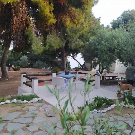 Apartament Pefkonas Apartments2 100 M From The