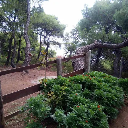 Appartement Pefkonas Apartments2 100 M From The Psakoudia