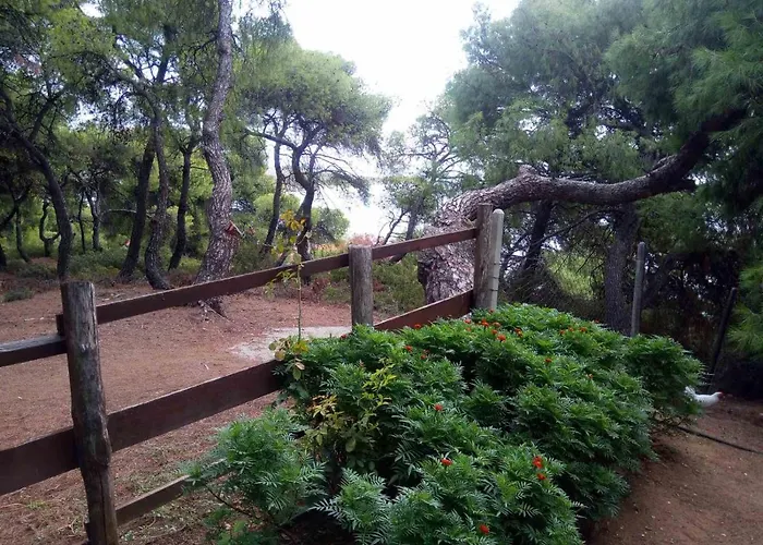 Appartement Pefkonas Apartments2 100 M From The Psakoudia