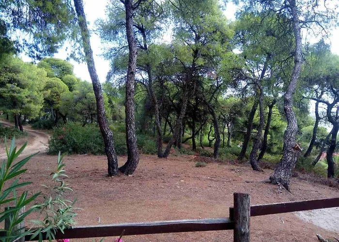 Appartement Pefkonas Apartments2 100 M From The